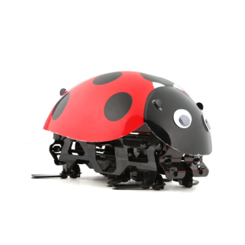 Remote Control Simulate Ladybug Beetle